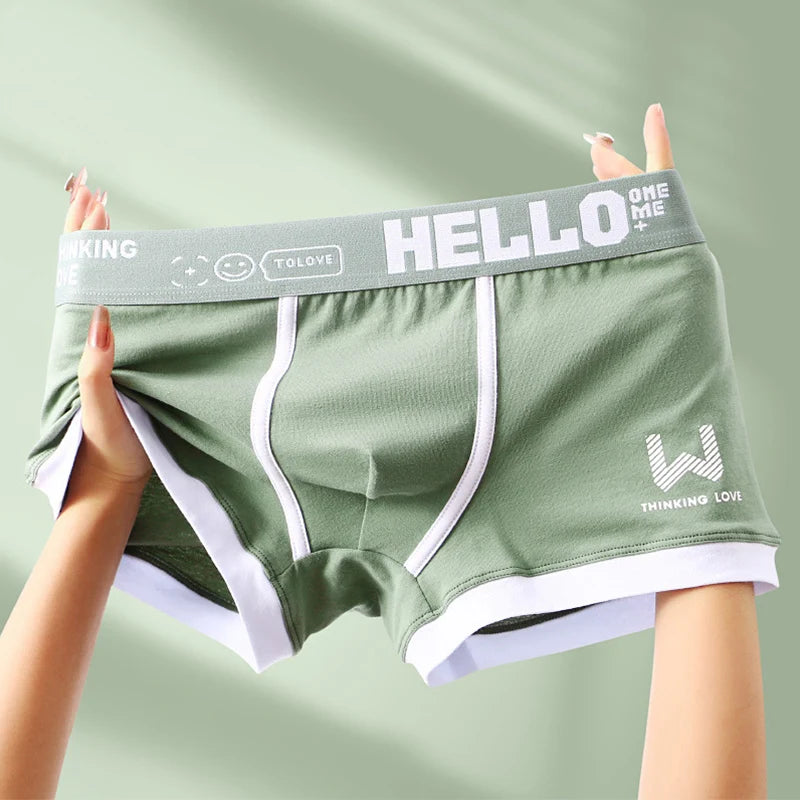 Men Panties Cotton BoxerShorts Man Underwear Mens Boxers Breathable U Convex Male Underpants Sexy Plus Size Men's Clothing